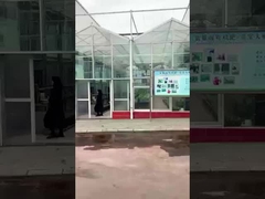 Производство аминокислот Сичуань Шихонг - Лулу