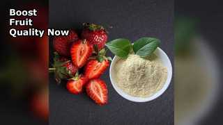 Органическое кальциевое удобрение повышает урожайность фруктов