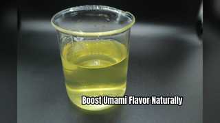 Гидролизованный растительный белок HVP Premium Umami Enhancer
