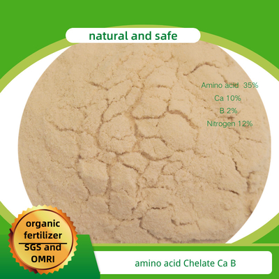 Amino Acid Chelate Calcium Boron Water Soluble Fertilizer For Agriculture