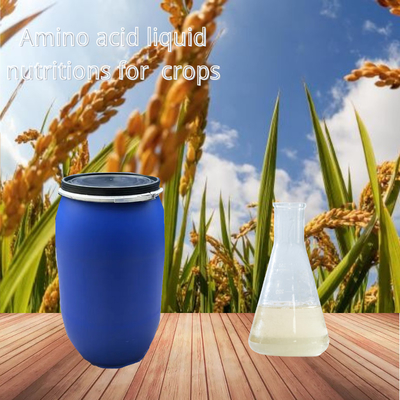 Amino Acid Chelate Zinc Boron Liquid Organic Fertilizer For Agricultural Crops Fertilizer
