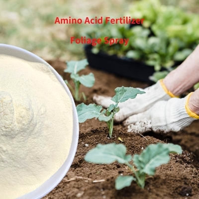 Soy Protein Enzymolyzed Amino Acid Powder Fertilizer Ph4-6 N14 For Plants