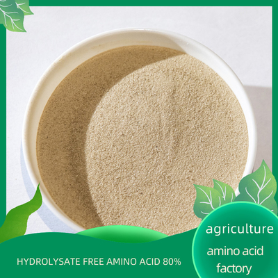 Organic Nitrogen Fertilizer Free Amino Acid S80% Hydrolyzed Protein Based Free Chlorides
