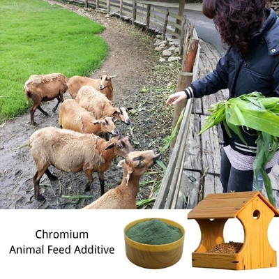 Amino Acid Trace Elements Protein Chromium 8% Animal Feed Additive
