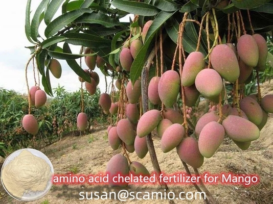 PH3-5 Amino Acids Powder 80% Vegetable Source High Nitrogen Organic Fertilizer