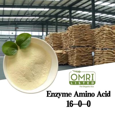 Ultra-Pure Marine-Source Amino Acid Powder with 82% Peptide-Rich Content for Organic and High-Value Crop Cultivation