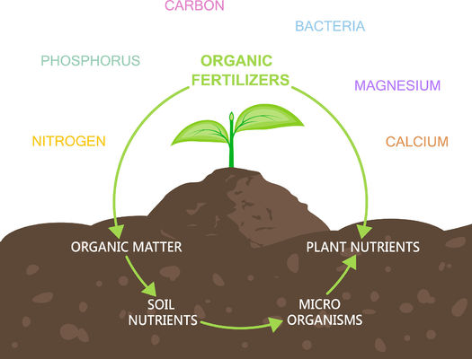 NutriCal-B Advance Water-soluble Calcium-Boron Liquid Fertilizer with 50% Organic Matter and 20% Total Amino Acids