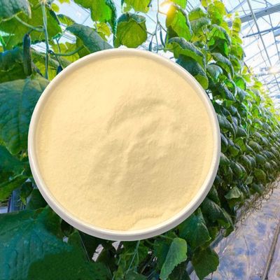 Plant Origin Hydrolysate Protein Based Amino Acid Powder Fertilizer 70% 65072-01-7
