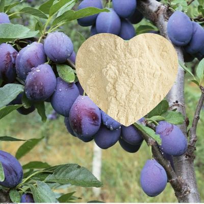 Vegetal Based Amino Acid Powder Fertilizer 52% Drip Irrigation Fertilizer Foliar Fertilizer