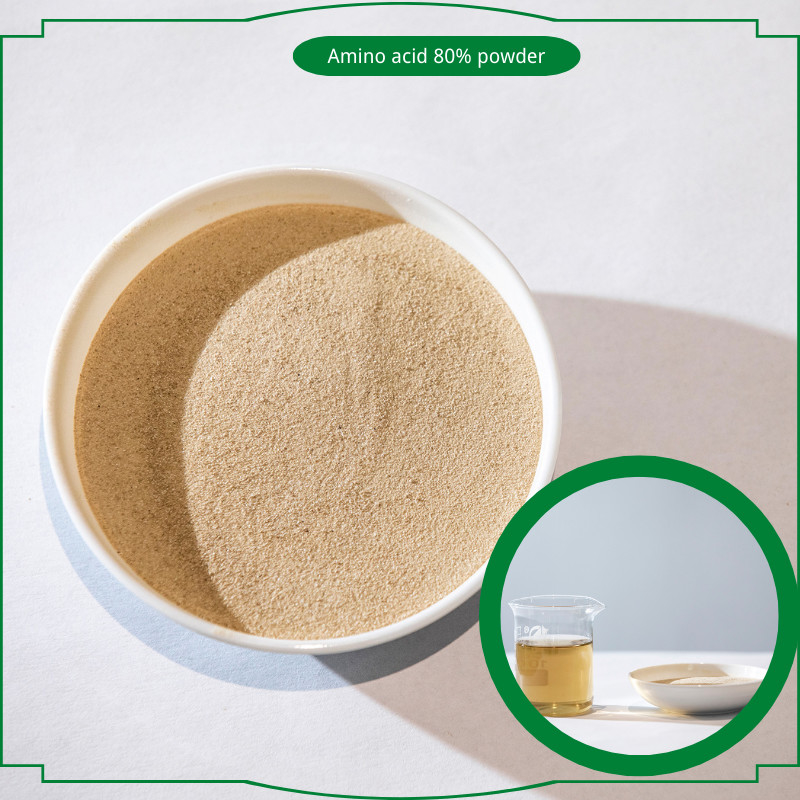 Hydrolysate Animal Protein Based Amino Acid Powder 80% Agricultural Fertilizers