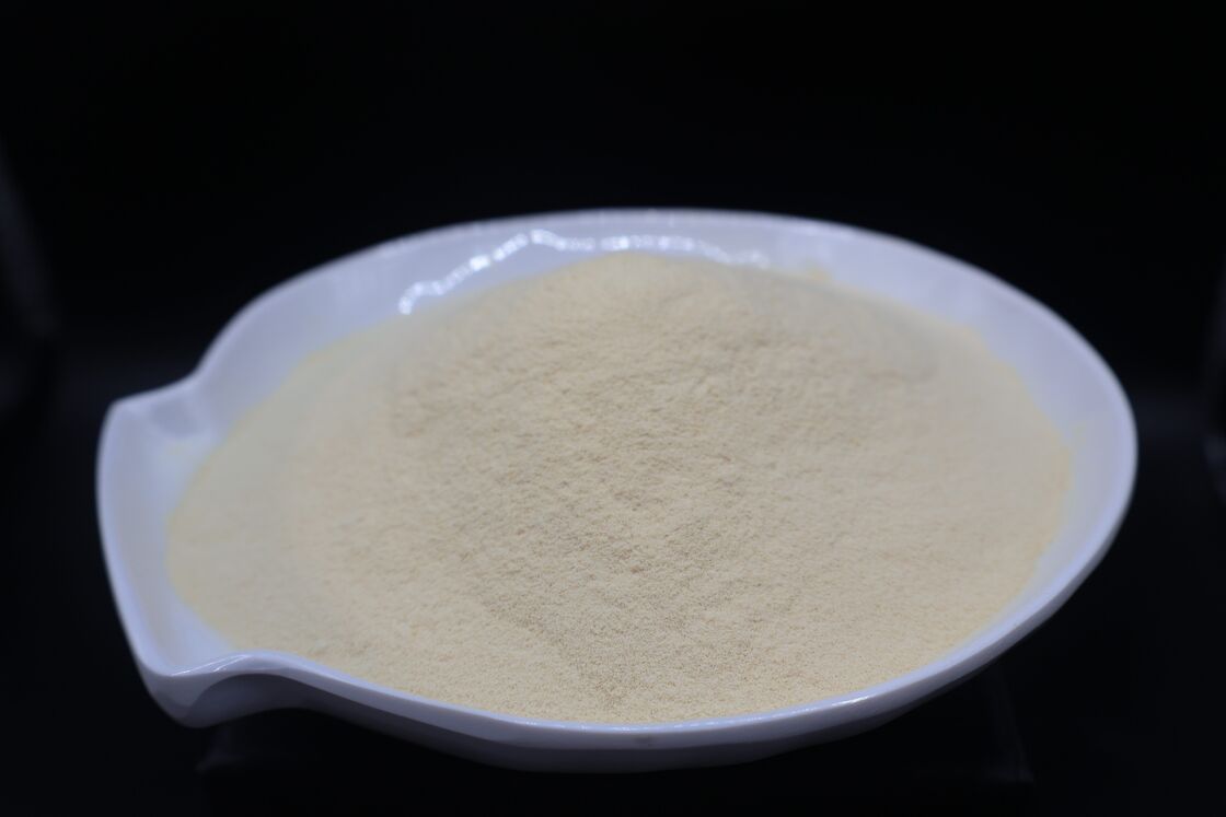 Plant Based Enzyme Amino Acid Supplement for Enhanced Protein Digestion and Optimal Nutrient Absorption