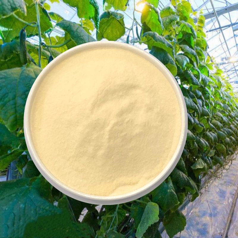 Plant Origin Hydrolysate Protein Based Amino Acid Powder Fertilizer 70% 65072-01-7