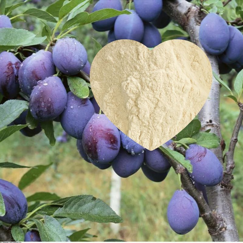 Vegetal Based Amino Acid Powder Fertilizer 52% Drip Irrigation Fertilizer Foliar Fertilizer